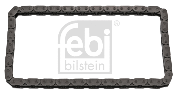 Timing Chain (100388)