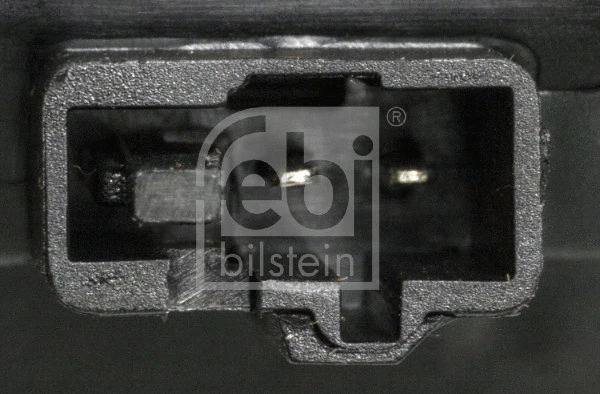 Switch, tailgate release