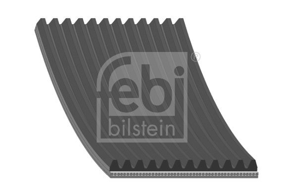 V-Ribbed Belt (174383)
