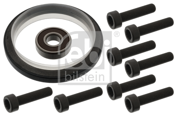 Repair Kit, flywheel (100156)
