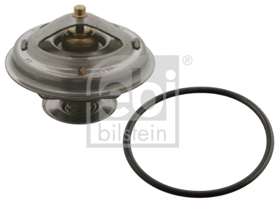 Thermostat, coolant (12193)