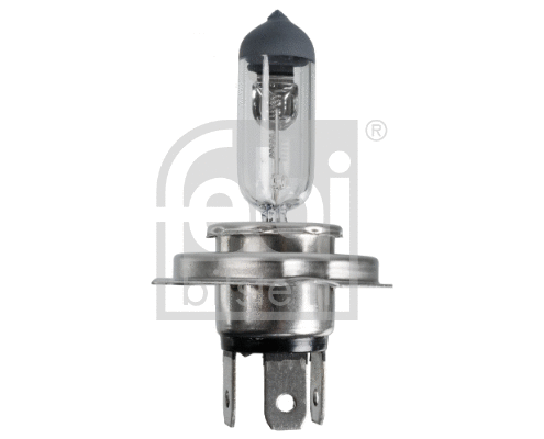 Bulb, headlight (173281)