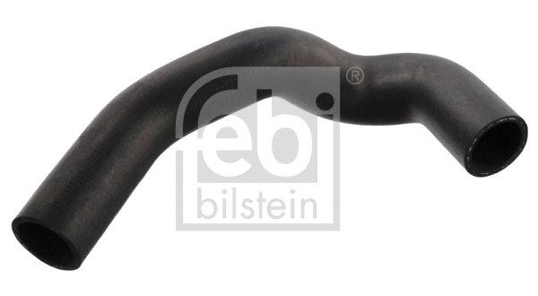 Radiator Hose (12095)