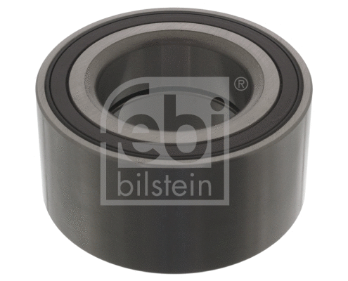 Wheel Bearing (45609)