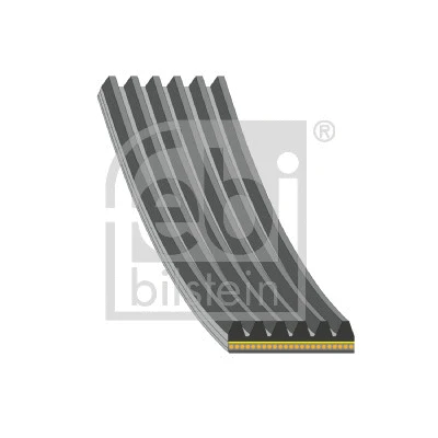 V-Ribbed Belt (182869)