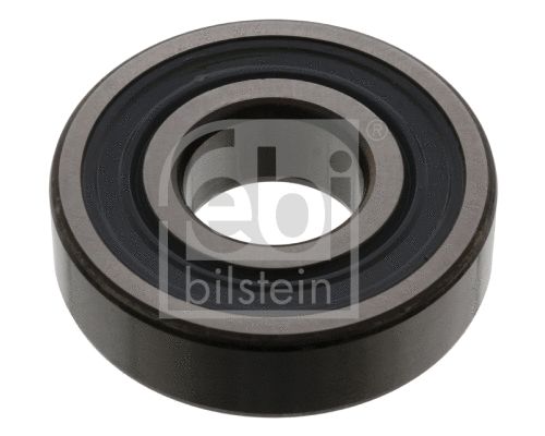 Pilot Bearing, clutch (09971)