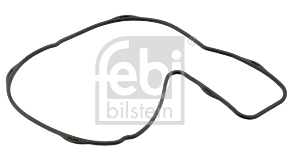 Gasket, water pump (44159)