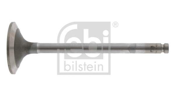 Intake Valve (22024)