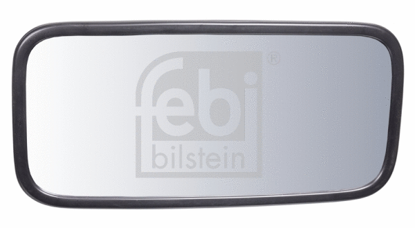 Exterior Mirror, driver cab (100889)
