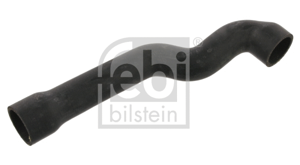 Radiator Hose (37097)