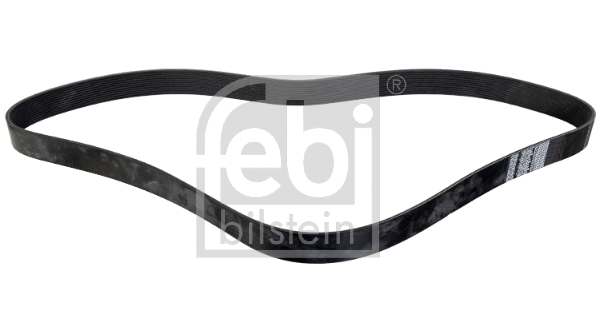 V-Ribbed Belt (178610)