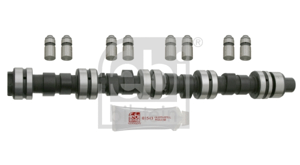 Camshaft Kit (23994)