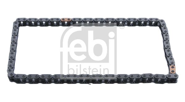 Timing Chain (31074)