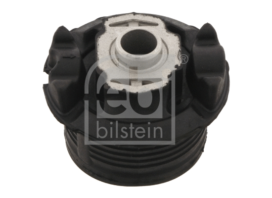 Bushing, axle beam (29349)