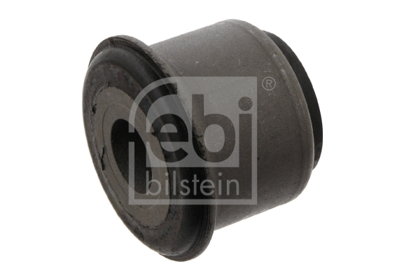 Bushing, axle beam (30972)