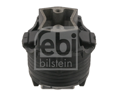 Bushing, axle beam (31963)