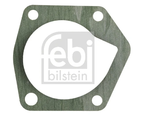 Gasket, water pump (178620)