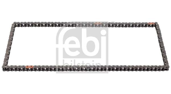 Timing Chain (177813)