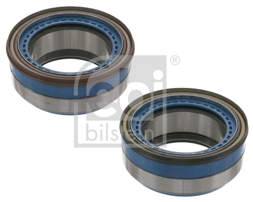 Wheel Bearing Kit (102555)