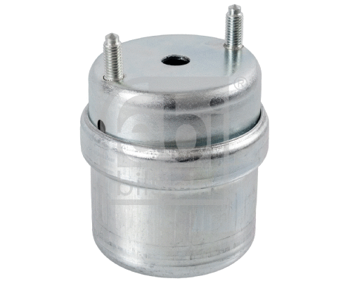 Mounting, engine (18858)