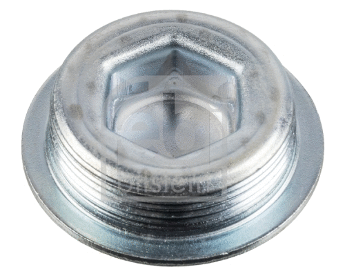 Screw Plug, crankcase (37934)