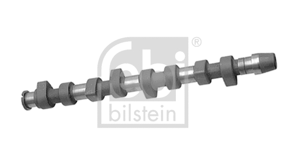 Camshaft (10011)