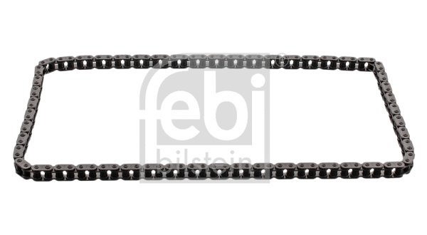 Timing Chain (17656)