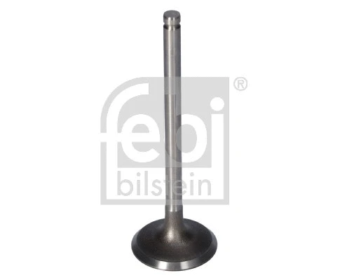 Intake Valve (181650)