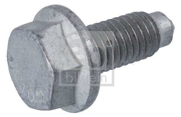 Bolt, tensioner pulley (171869)
