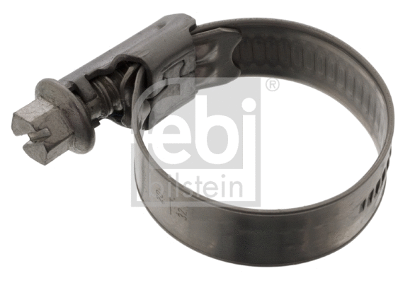 Hose Clamp (48346)