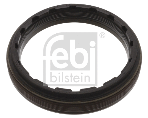 Shaft Seal, manual transmission flange (18796)