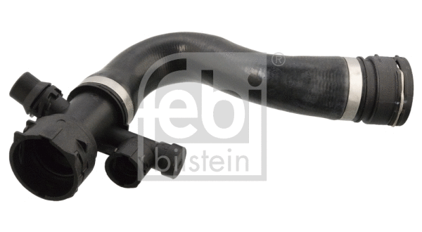 Radiator Hose (103953)