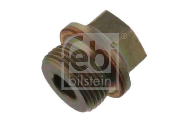 Screw Plug, timing chain tensioner (37589)