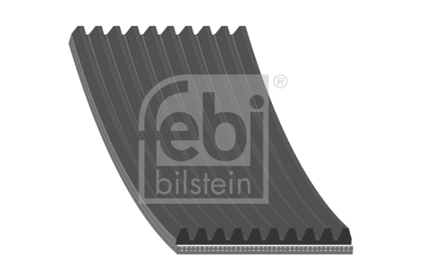 V-Ribbed Belt (34339)