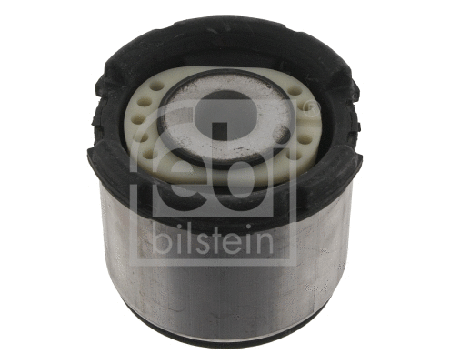 Bushing, axle beam (30974)