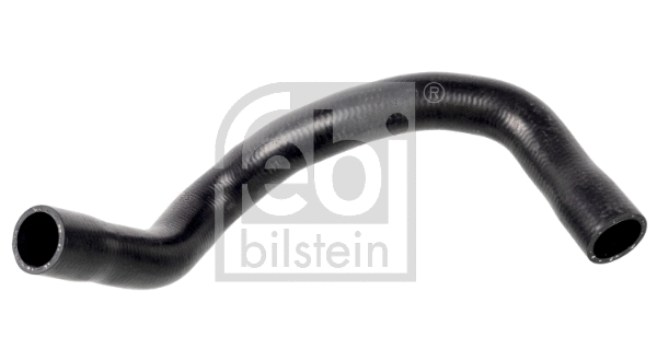 Radiator Hose (174401)
