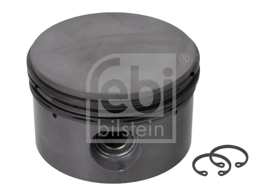 Piston, air compressor (173696)