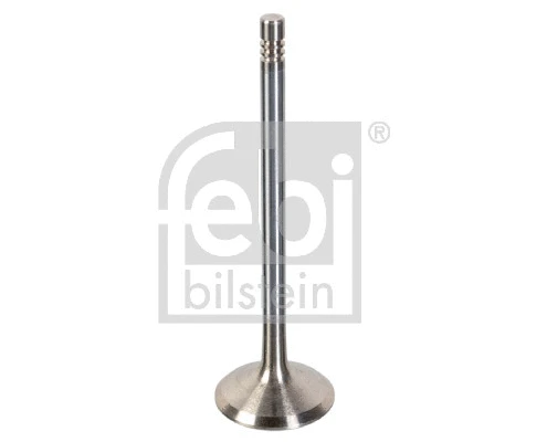 Intake Valve (180481)