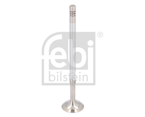 Exhaust Valve (186246)