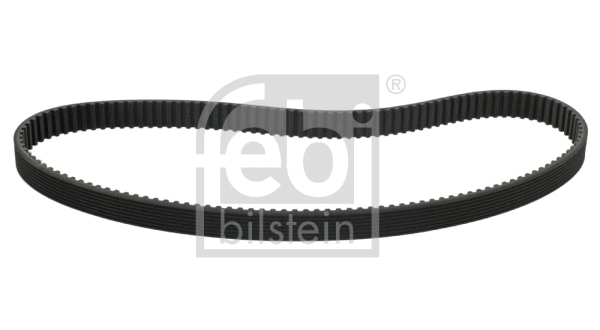 Timing Belt (11029)