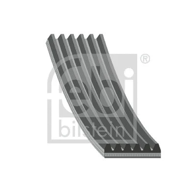 V-Ribbed Belt (181297)