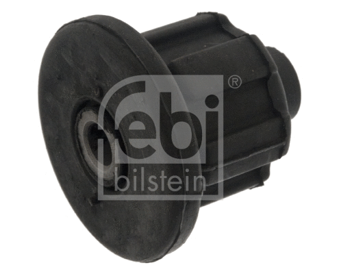 Bushing, axle beam (01524)