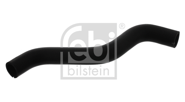 Radiator Hose (38589)