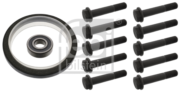 Repair Kit, flywheel (46307)