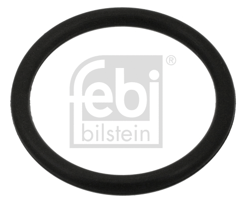 Seal Ring, oil drain plug (100999)