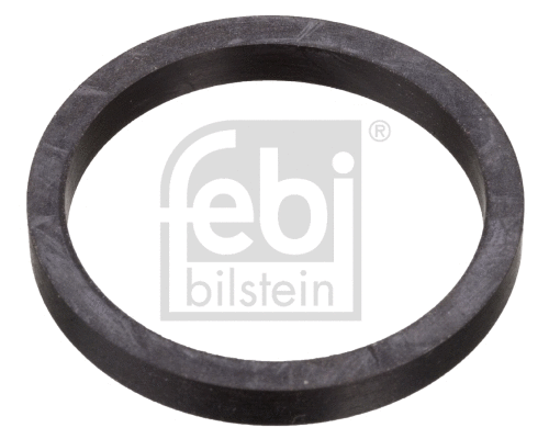 Seal Ring, coolant pipe (11768)