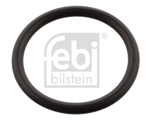 Seal Ring, oil drain plug (103727)