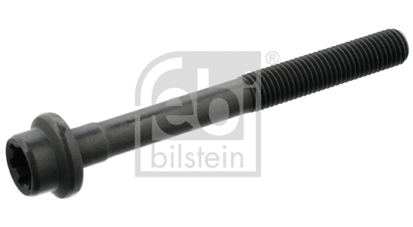 Cylinder Head Bolt (15698)