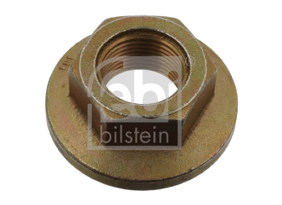Nut, stub axle (03811)