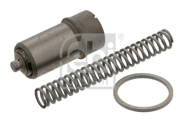 Tensioner, timing chain (02454)